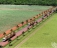 16 TRANSPORTE DE MATÉRIA PRIMA